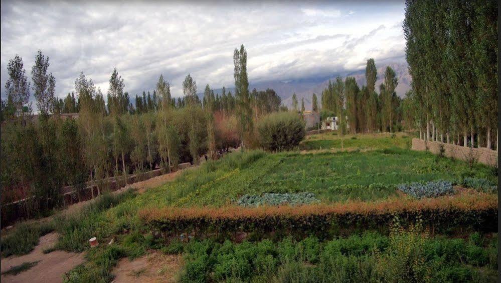 Hotel Ladakh Heaven Leh Eksteriør bilde