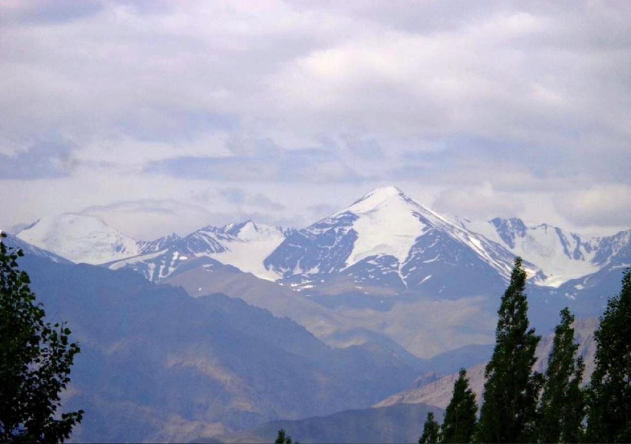 Hotel Ladakh Heaven Leh Eksteriør bilde